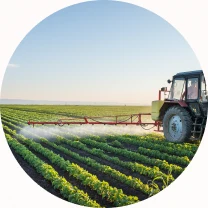 Finance Agriculture 2